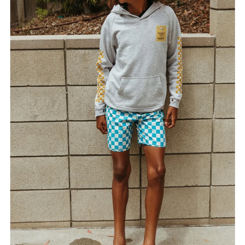 Blue and White Checkered Swim Shorts - Picture 5 of 6